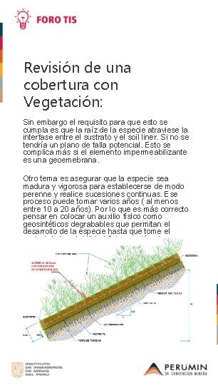 Revisión de una cobertura con Vegetación: Sin embargo el requisito para que esto se