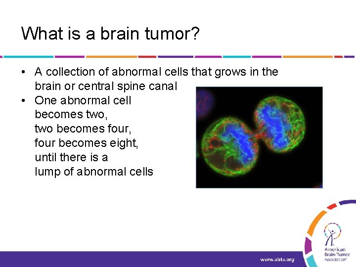 What is a brain tumor? • A collection of abnormal cells that grows in