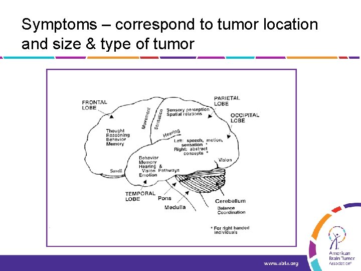 Symptoms – correspond to tumor location and size & type of tumor 