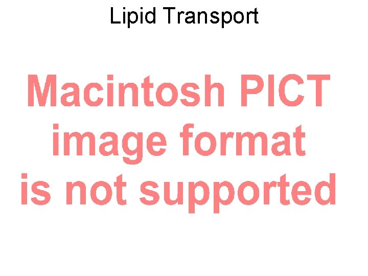 Lipid Transport 