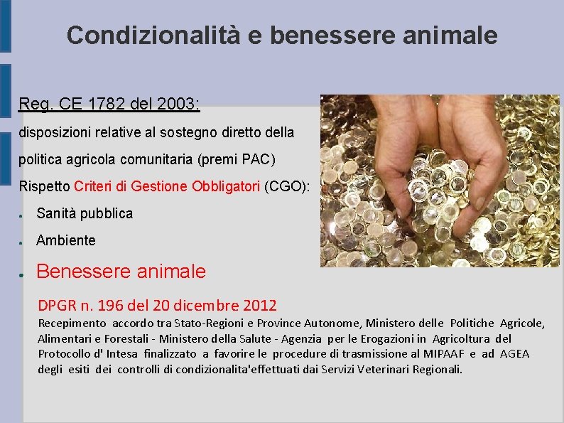 Condizionalità e benessere animale Reg. CE 1782 del 2003: disposizioni relative al sostegno diretto