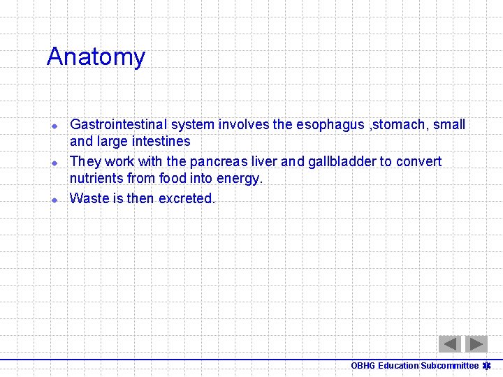 Anatomy u u u Gastrointestinal system involves the esophagus , stomach, small and large