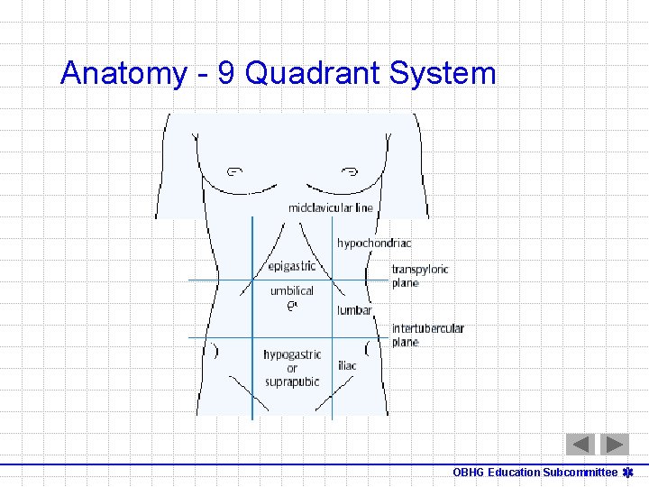 Anatomy - 9 Quadrant System OBHG Education Subcommittee 