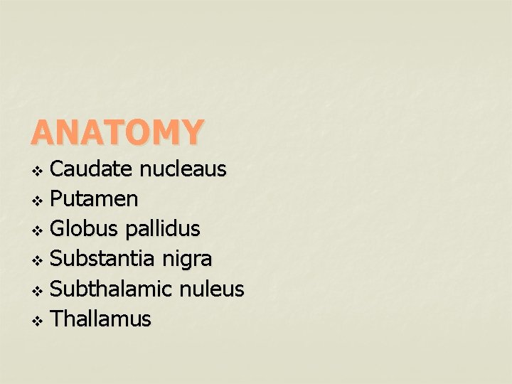 ANATOMY Caudate nucleaus v Putamen v Globus pallidus v Substantia nigra v Subthalamic nuleus