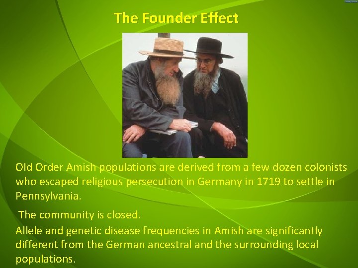 The Founder Effect Old Order Amish populations are derived from a few dozen colonists