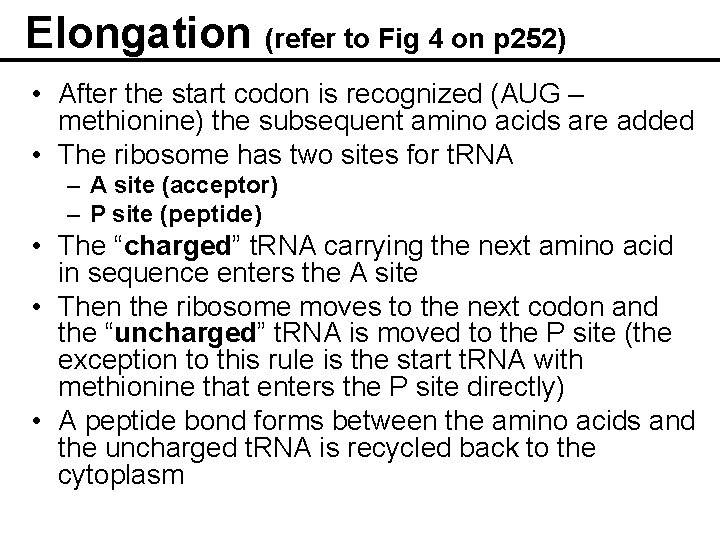 Elongation (refer to Fig 4 on p 252) • After the start codon is