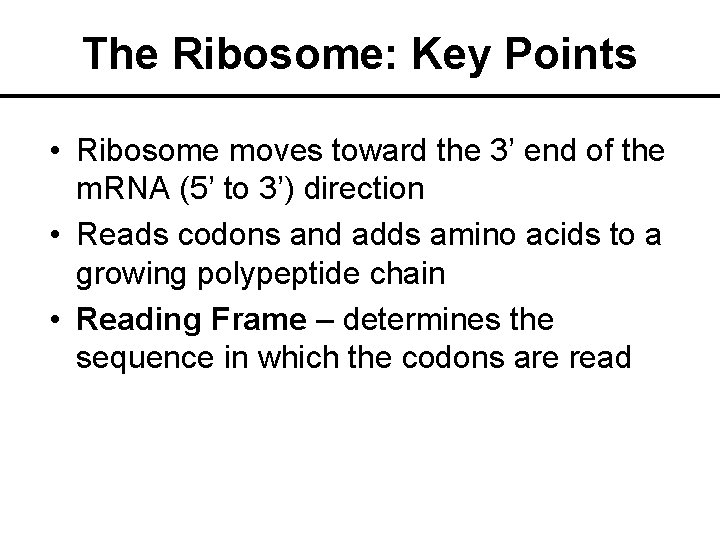 The Ribosome: Key Points • Ribosome moves toward the 3’ end of the m.