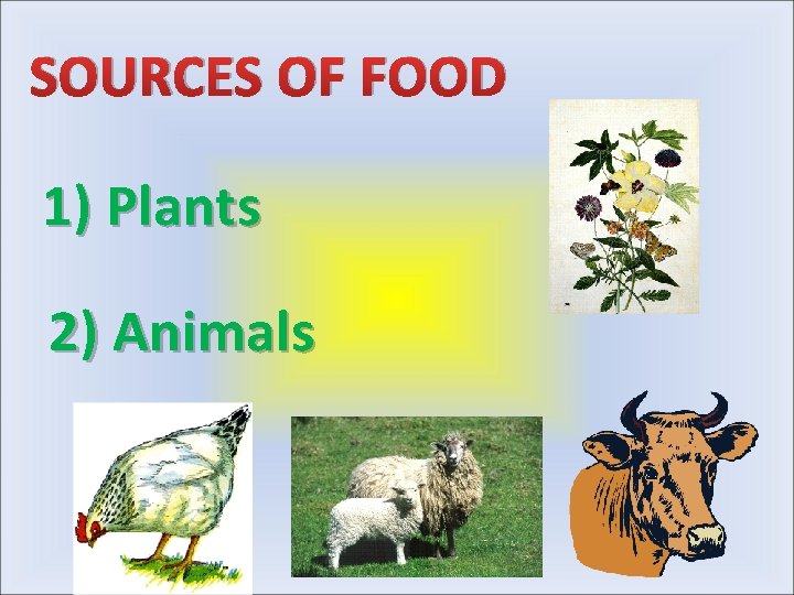 SOURCES OF FOOD 1) Plants 2) Animals 