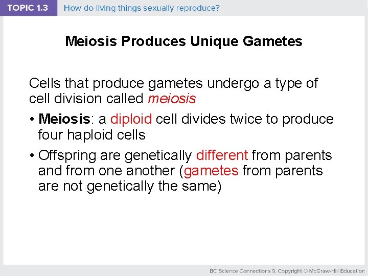 Meiosis Produces Unique Gametes Cells that produce gametes undergo a type of cell division