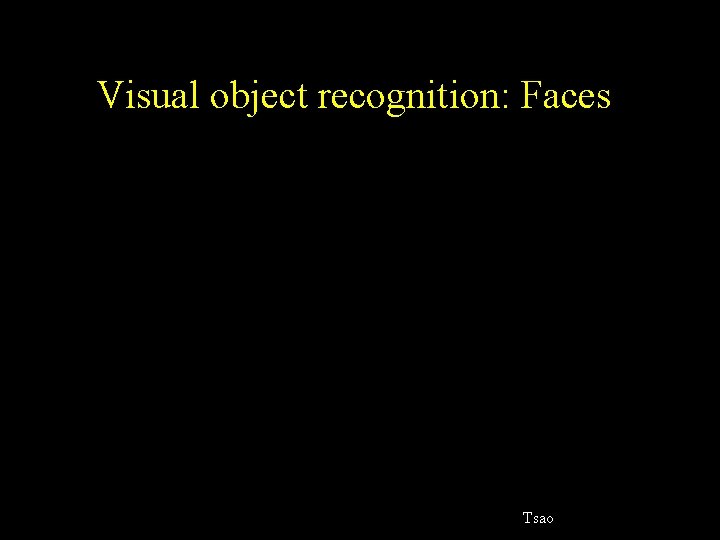 Visual object recognition: Faces Tsao 