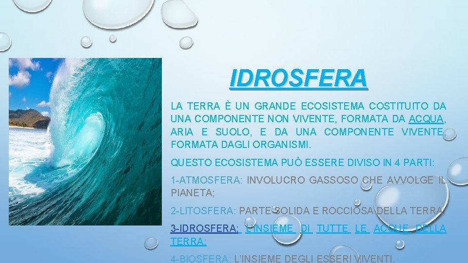 IDROSFERA LA TERRA È UN GRANDE ECOSISTEMA COSTITUITO DA UNA COMPONENTE NON VIVENTE, FORMATA