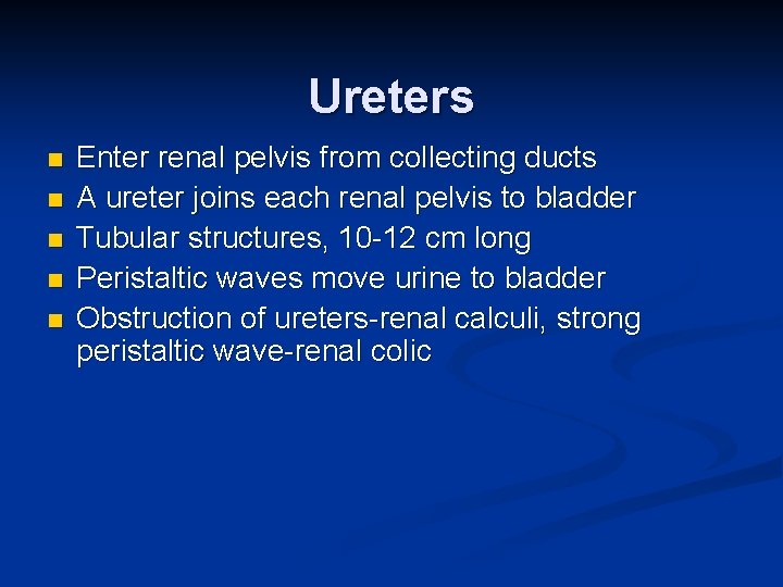 Ureters n n n Enter renal pelvis from collecting ducts A ureter joins each