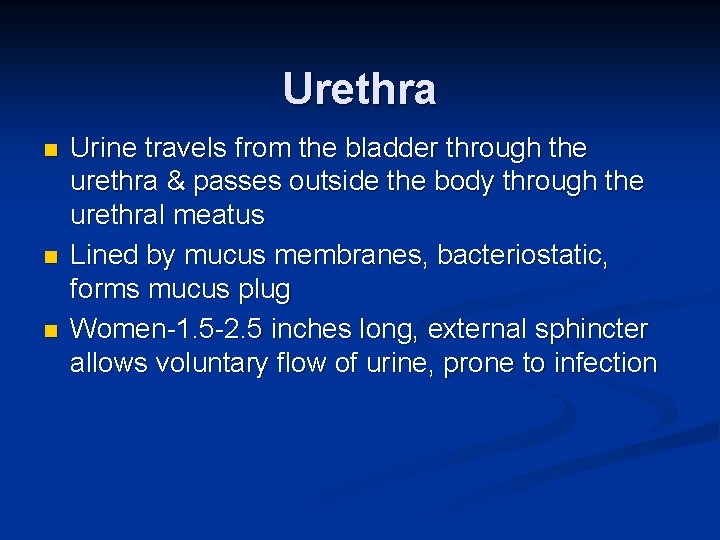 Urethra n n n Urine travels from the bladder through the urethra & passes