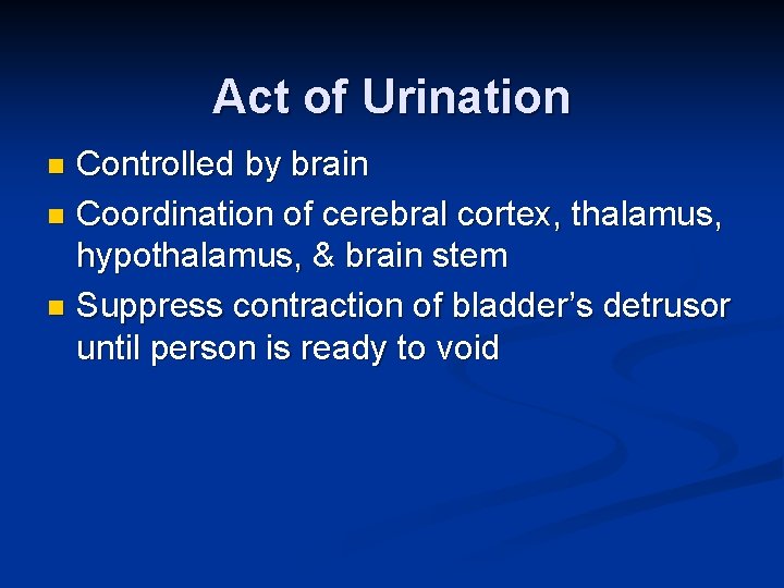 Act of Urination Controlled by brain n Coordination of cerebral cortex, thalamus, hypothalamus, &