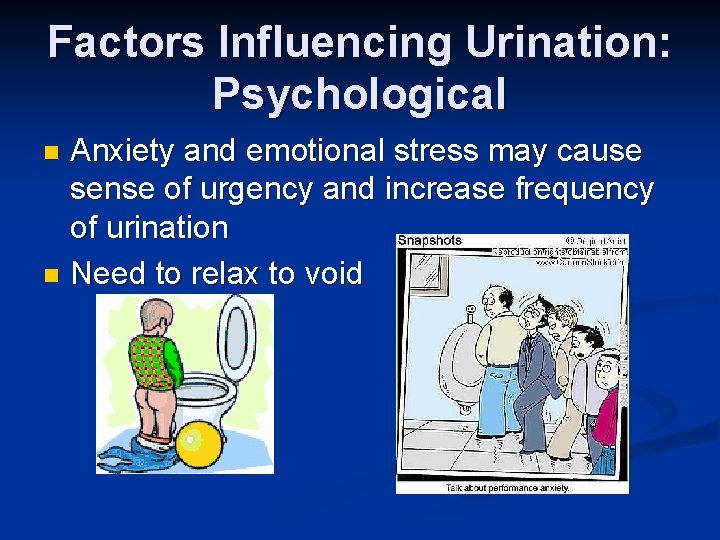 Factors Influencing Urination: Psychological Anxiety and emotional stress may cause sense of urgency and