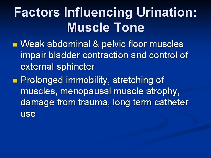 Factors Influencing Urination: Muscle Tone Weak abdominal & pelvic floor muscles impair bladder contraction