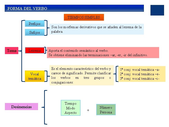  FORMA DEL VERBO TIEMPOS SIMPLES Prefijos Sufijos Tema Lexema Vocal temática Desinencias Son
