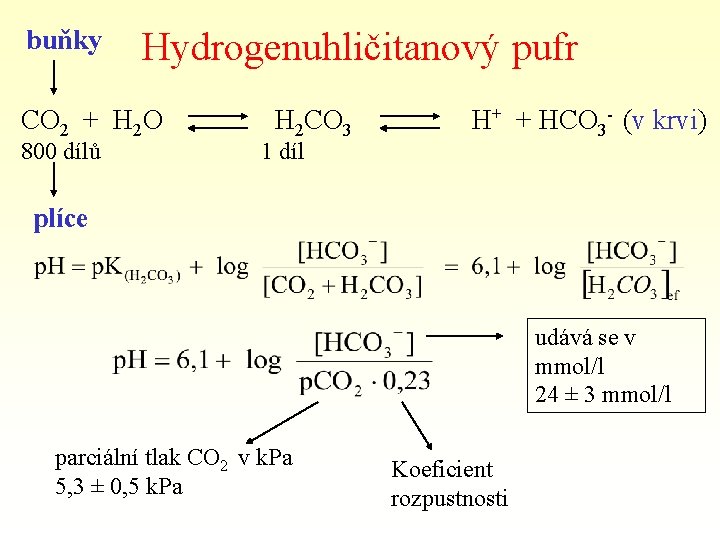 buňky Hydrogenuhličitanový pufr CO 2 + H 2 O 800 dílů H 2 CO