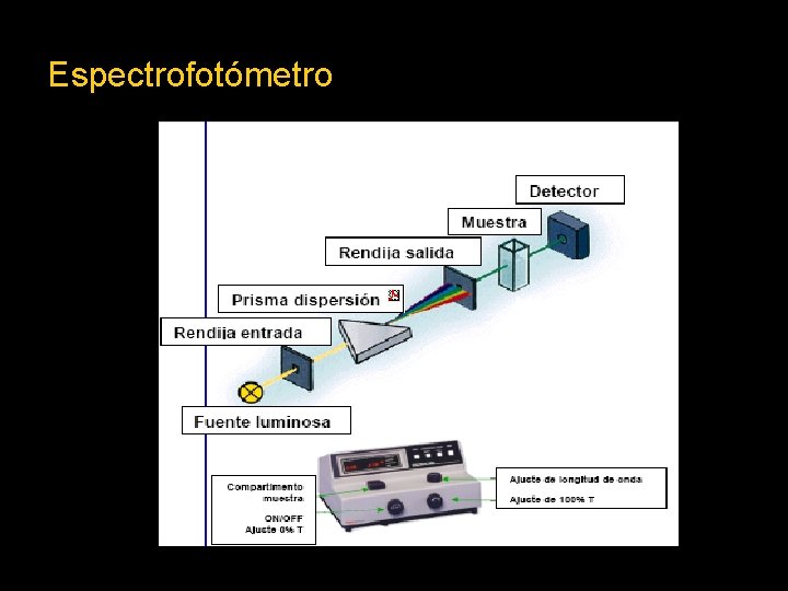 Espectrofotómetro 