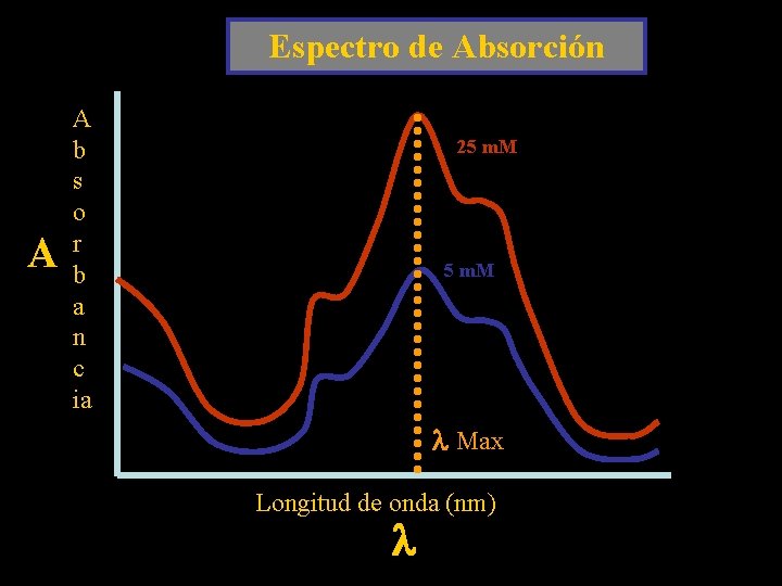 Espectro de Absorción A A b s o r b a n c ia