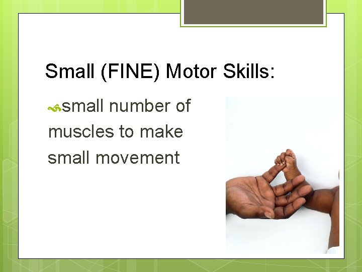 Small (FINE) Motor Skills: small number of muscles to make small movement 