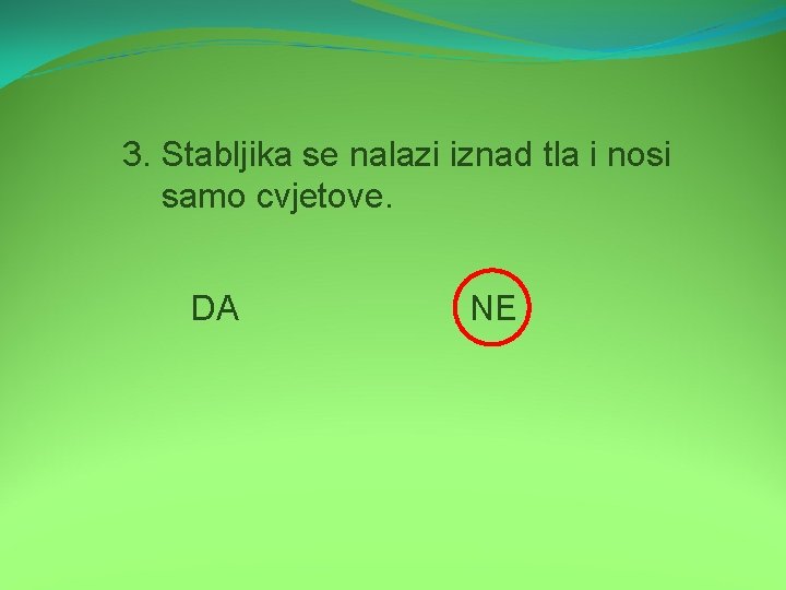 3. Stabljika se nalazi iznad tla i nosi samo cvjetove. DA NE 