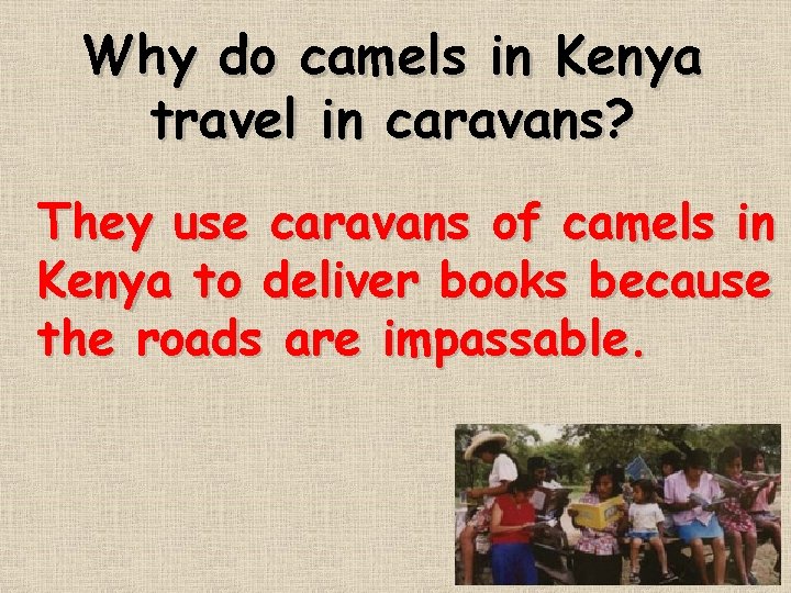 Why do camels in Kenya travel in caravans? They use caravans of camels in