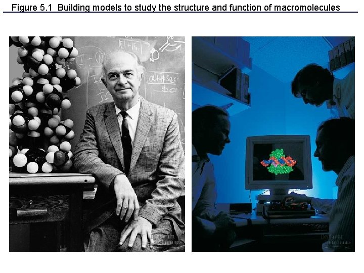 Figure 5. 1 Building models to study the structure and function of macromolecules 