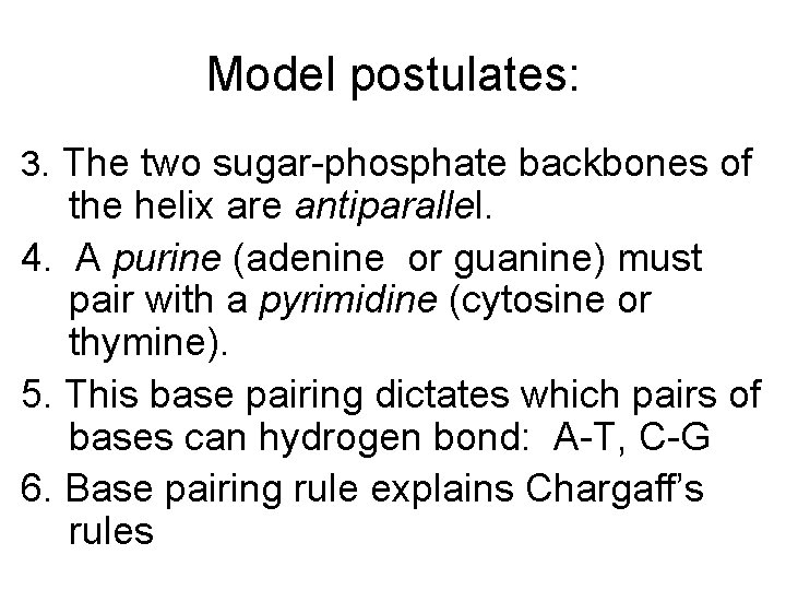 Model postulates: 3. The two sugar-phosphate backbones of the helix are antiparallel. 4. A