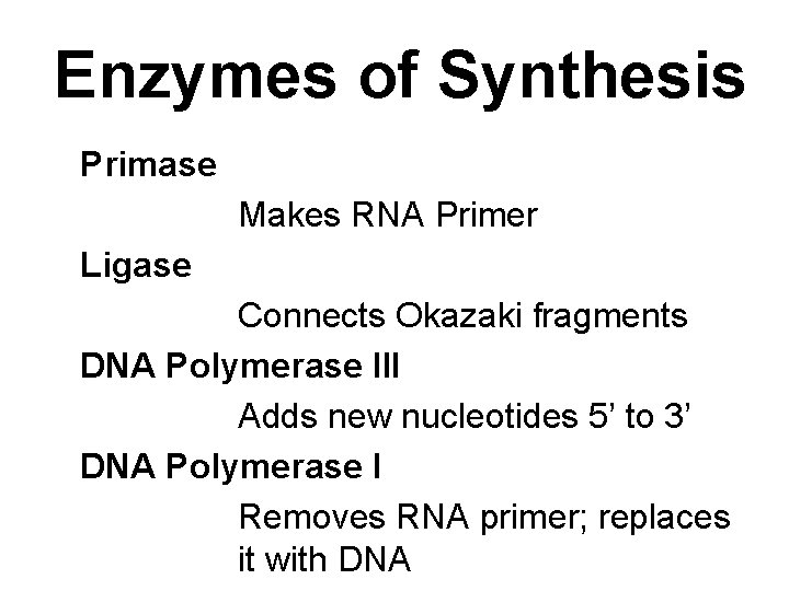 Enzymes of Synthesis Primase Makes RNA Primer Ligase Connects Okazaki fragments DNA Polymerase III