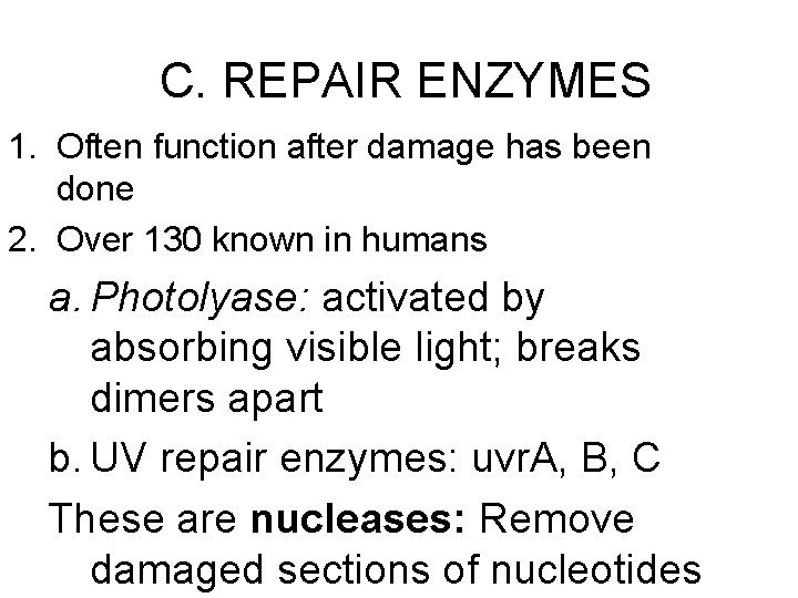 C. REPAIR ENZYMES 1. Often function after damage has been done 2. Over 130