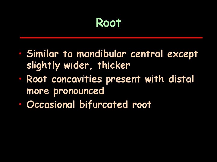 Root • Similar to mandibular central except slightly wider, thicker • Root concavities present