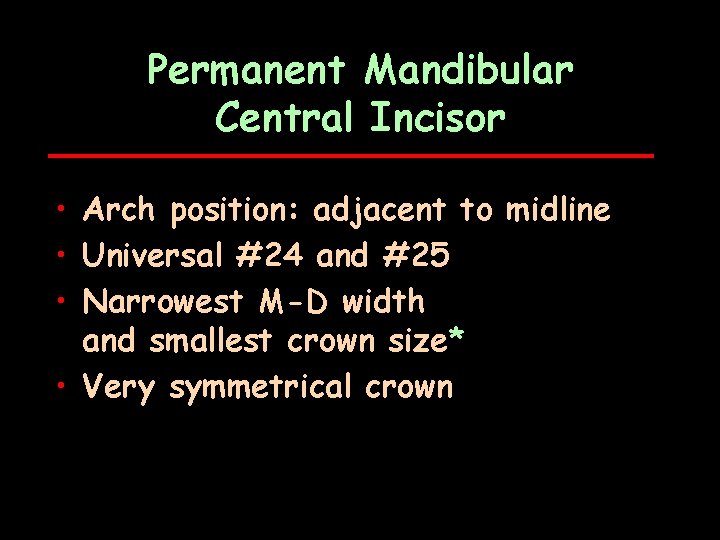 Permanent Mandibular Central Incisor • Arch position: adjacent to midline • Universal #24 and