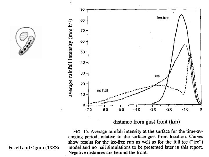 Fovell and Ogura (1988) 14 