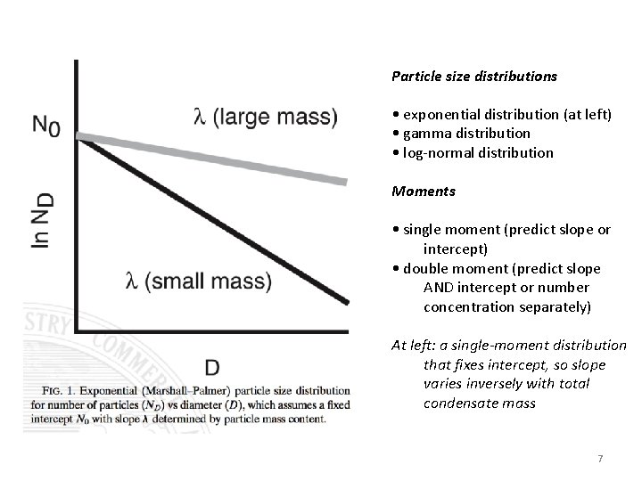 Particle size distributions • exponential distribution (at left) • gamma distribution • log-normal distribution