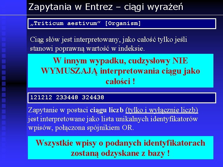 Zapytania w Entrez – ciągi wyrażeń „Triticum aestivum” [Organism] Ciąg słów jest interpretowany, jako