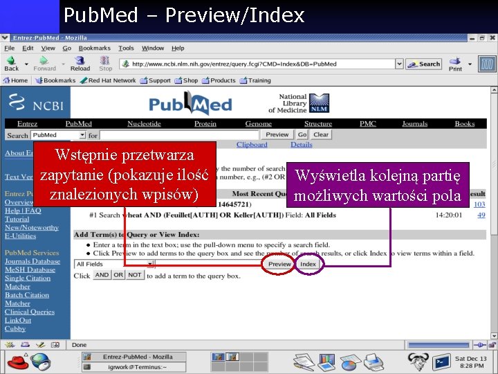 Pub. Med – Preview/Index Wstępnie przetwarza zapytanie (pokazuje ilość znalezionych wpisów) Wyświetla kolejną partię