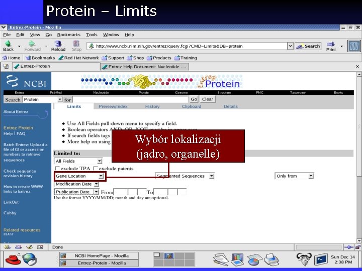 Protein – Limits Wybór lokalizacji (jądro, organelle) 