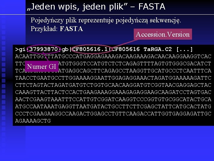 „Jeden wpis, jeden plik” – FASTA Pojedyńczy plik reprezentuje pojedyńczą sekwencję. Przykład: FASTA Accession.