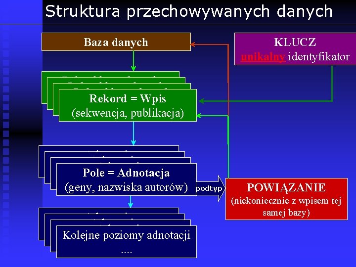 Struktura przechowywanych danych Baza danych KLUCZ unikalny identyfikator Rekord bazy danych (sekwencja, publikacja) Rekord