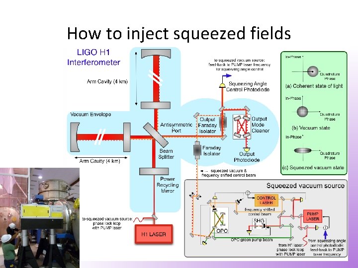 How to inject squeezed fields 