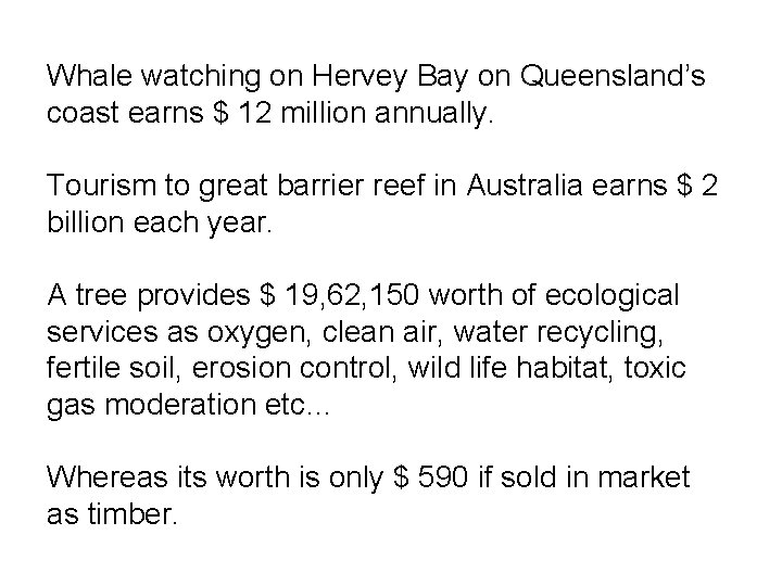 Whale watching on Hervey Bay on Queensland’s coast earns $ 12 million annually. Tourism