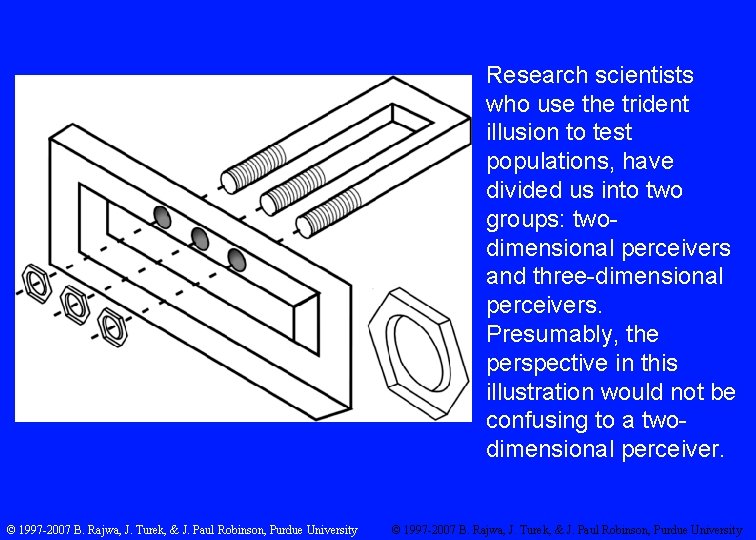 Research scientists who use the trident illusion to test populations, have divided us into