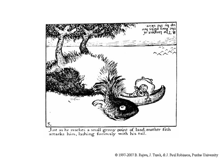 © 1997 -2007 B. Rajwa, J. Turek, & J. Paul Robinson, Purdue University 