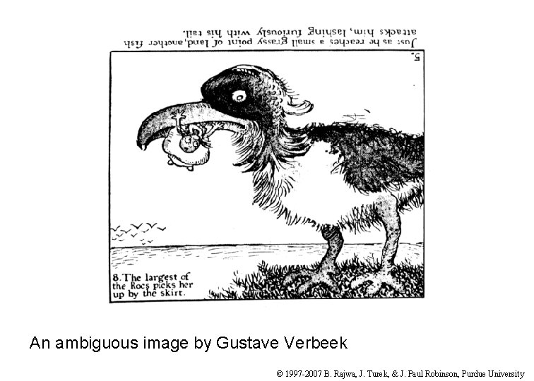 An ambiguous image by Gustave Verbeek © 1997 -2007 B. Rajwa, J. Turek, &