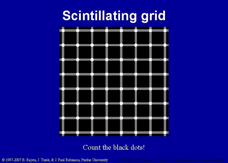 Scintillating grid Count the black dots! © 1997 -2007 B. Rajwa, J. Turek, &