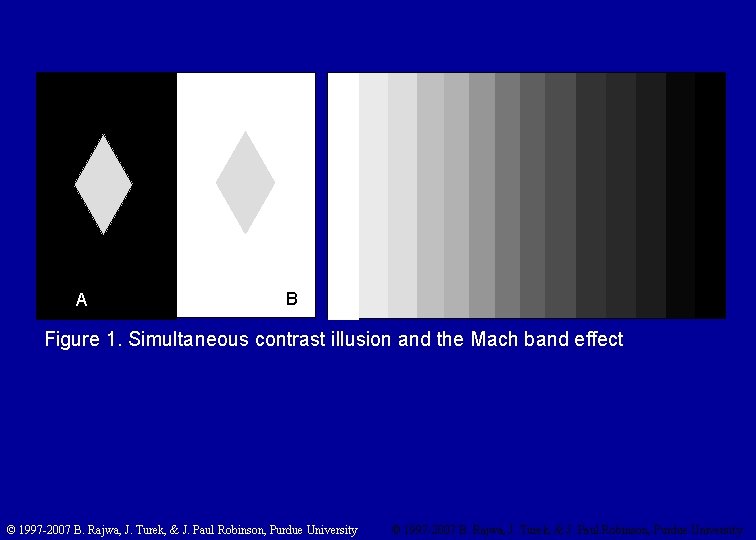 A B Figure 1. Simultaneous contrast illusion and the Mach band effect © 1997