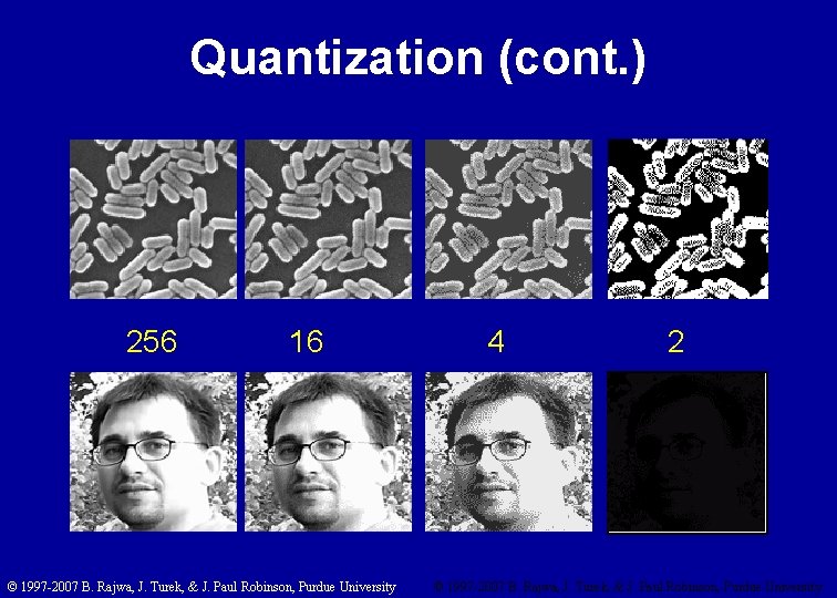 Quantization (cont. ) 256 16 4 2 © 1997 -2007 B. Rajwa, J. Turek,