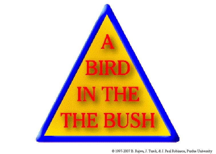 © 1997 -2007 B. Rajwa, J. Turek, & J. Paul Robinson, Purdue University 