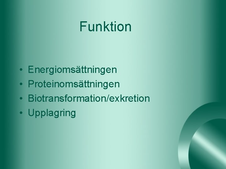 Funktion • • Energiomsättningen Proteinomsättningen Biotransformation/exkretion Upplagring 